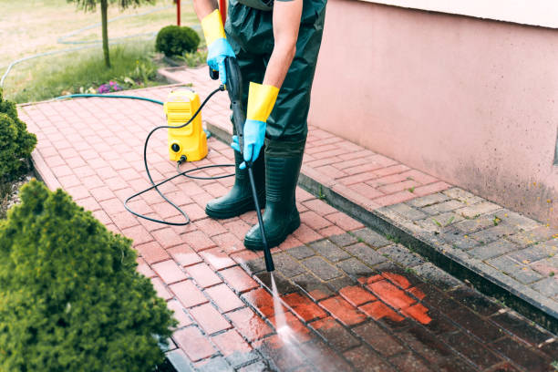 Best Roof Power Washing Services  in Pine Mountain Clu, CA