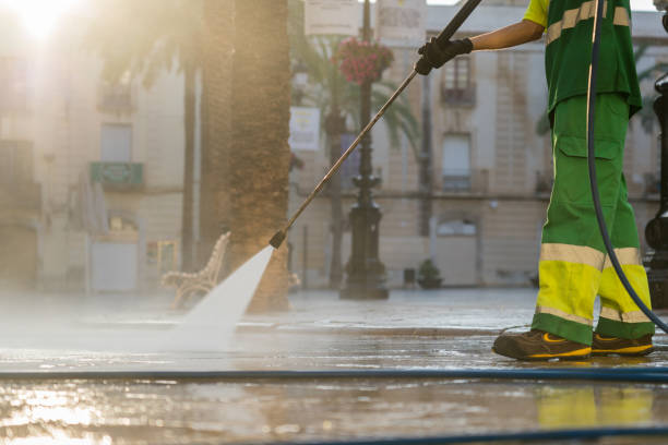 Best Fence Pressure Washing  in Pine Mountain Clu, CA